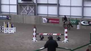 Rachel Lade Surprise Addition Hartpury British Showjumping 26/01/14