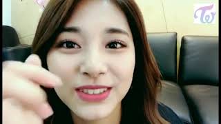 Tzuyu saying dubu dubu( tofu tofu)....