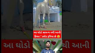 સૌથી મોંઘો ઘોડૉ સાત કરોડ નો |મહા કુંભ મેળાનો ઇતિહાસ|Maha Kumbh Melo#shorts #shortsfeed