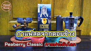 Ep.231 รีวิว กาแฟสดจากดอยช้าง Peaberry Classic กาแฟระดับโลก By Pound Review