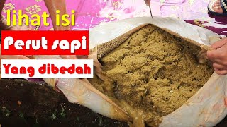 lihat isi perut sapi yang dibedah - begini penampakanya !!!