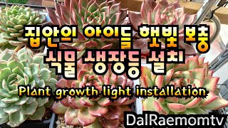 식물 생장등을 구매하다 story of plant growth