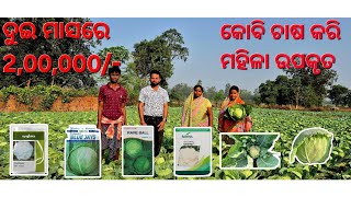 ଫୁଲକୋବି ଚାଷରେ ମହିଳାଙ୍କ ସଫଳତା ll Cauliflower Farming Video with Farmer Interview  Cauliflower Farming