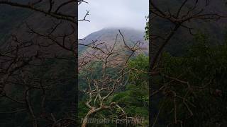 | മഞ്ഞ് പെയ്യുന്ന Palakkad |Trending | Nelliampathi | Hillstation | #nelliyampathy #munnar