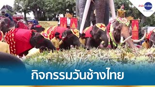 ปางช้างหลายจังหวัด จัดกิจกรรมวันช้างไทย
