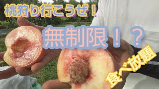 外ヌス03 服部果樹園 桃狩り【福島】