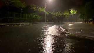 Fall Asleep in Under 5 Minutes with Heavy Rainstorm & Thunder at Night   Rain Sounds for Sleeping
