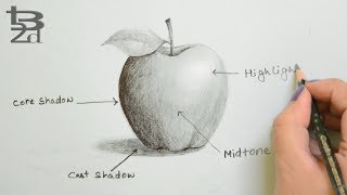 Draw Apple with Pencil | How to do Shading | Learn Light and Shadow