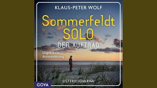 Kapitel 89 - Sommerfeldt Solo. Der Auftrag (Band 1, ungekürzt)