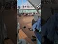 Conga Line P1 - Royal Caribbean Cruise