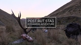 POST RUT STAG & CHAMOIS HUNTING - NEW ZEALAND