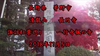 長野県　茅野市　諏訪紅葉めぐり　清龍山　長円寺　２０１８年１１月５日