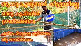 സുരേഷേട്ടന്റെ മത്സ്യ കൃഷി | മത്സ്യ കൃഷി എങ്ങനെ ലാഭകരമാക്കാം | മീൻ വളർത്തൽ അറിയേണ്ടവ | Fish Farming