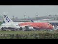 【4k】成田空港 ひこうきの丘 全日空 超巨大旅客機 フライング・ホヌ ラーちゃん ハワイから嬉しそうに到着