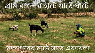 গ্রাম বাংলার হাটে মাঠে ঘাটে।। মদনপুরের মাঠে মাঠে একবেলা।। গ্রাম বাংলার প্রাকৃতিক সৌন্দর্য।। প্রকৃতি।