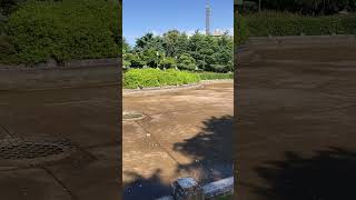 【レア映像】水抜きされた噴水塔の池（鶴舞公園）2024.6.4撮影。 清掃のためか普段は水が張られている池の水が抜かれていました。 #鶴舞公園 #噴水塔 #水抜き #レア映像