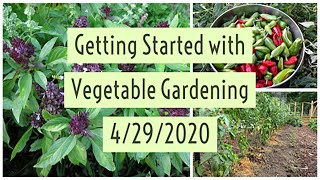 Getting Started with Vegetable Gardening - Webinar