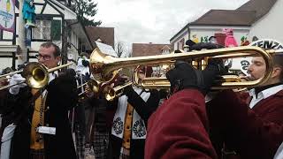 Guggemuusik Stenzer gugge 63 in Allschwil Fasnacht 2020