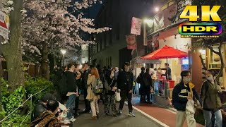 【4K HDR】Night Cherry Blossom Festival in Meguro River 2021 - Japan Walking Tour 東京散歩