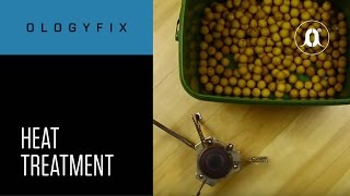 CARPologyTV - OlogyFix Heat Treatment