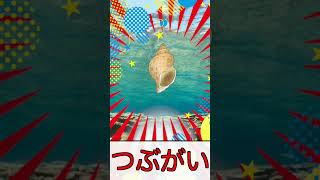 【子供向け 水族館】お魚がいないいないばあ！ 海のいきもの名前を覚えよう！ピークアブー！赤ちゃんが喜ぶ知育アニメ #Shorts