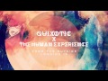 Quixotic & The Human Experience - The Fire Inside - From The Outside Looking In