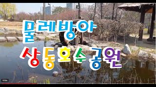 부천 상동호수공원 -  까치, 물레방아, 식물원, 물고기 (2022.04.02)