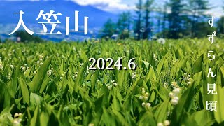 入笠山 登山 |すずらん見頃(2024年6月) | 沢入登山口から登る(ゴンドラを使わない) | ①沢入登山口②入笠湿原③入笠野草公園(ゴンドラ)⓸入笠山花畑と山頂⑤大阿原湿原⑥八ヶ岳ビューポイント