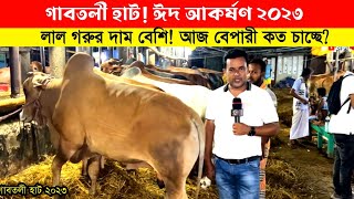 কোরবানির লাল গরুর এত দাম? তবে কি গরুর দাম বেড়ে যাচ্ছে? গাবতলী গরুর হাট 2023