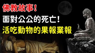 佛教故事：面對公公的死亡！活吃動物的果報業報。因果和業障如何影響我們的生活？【佛心福樂】