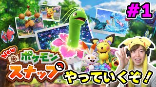 【ポケモンスナップ】かわいいポケモンたちを撮影しまくるぞー！