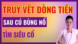 Nhận Định Thị Trường Chứng Khoán Hôm Nay: Sau Cú Bùng Nổ - Tìm Siêu Cổ Tiếp Theo