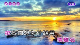 情難忘~王識賢~女Gm調~伴奏~導唱丙