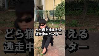 どら猫を捕まえる逃走中のハンター　#shorts #short #逃走中 #ハンター #西宮 #サザエさん #ねこ #猫 #猫動画 #ねこのいる生活