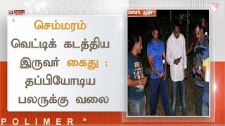 செம்மரம் வெட்டிக் கடத்திய இருவர் கைது - தப்பியோடிய மேலும் பலருக்கு வலை | #Tirupati #Redwood