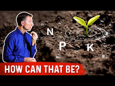 Which type of soil has the least nutrients?