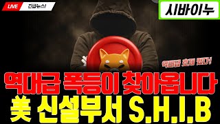 [시바이누코인]💎 역대급 폭등이 온다!? 신부서 SHIB 등장!