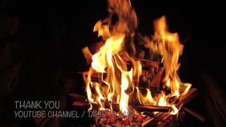 ONNEW TV Sound of Bugs and Bonfires in the Woods💤 / Relaxing / Meditation / Camping / Deep Sleep