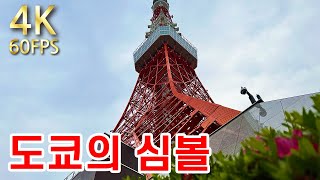 【일본 산책 / 도쿄 타워 및 그 주변 거리 東京タワー】 일본 도쿄의 상징이기도 한 도쿄 타워와 에도 막부를 연 도쿠가와 쇼군의 묘지 등을 산책