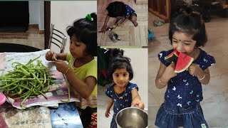 തനുന്റെ ഇന്നത്തെ തിരക്കുകൾ /Thanus Day in my life/Vlog/Thanu/Thanusree