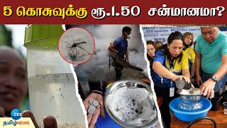 MOSQUITO | என்னடா இது கொசுக்கு வந்த சோதனை....