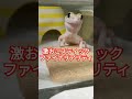 激おこスティックファイナリアリティぷんぷんドリームだよぉ！ಠ⁠ω⁠ಠ