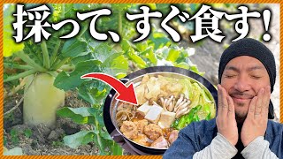 【青空クッキング】収穫した大根、白菜をまるっと使って牡蠣鍋をしよう！