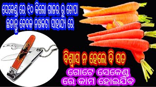 ମାତ୍ର ଗୋଟେ ସେକେଣ୍ଡ ରେ କିଲୋ କିଲୋ ଗାଜର ଚୋପା ଛଡ଼ାନ୍ତୁ ନଖ କଟା ସାହାଯ୍ୟ ରେ।ବୁଦ୍ଧି ମତି ମାନେ ଥରେ ଦେଖନ୍ତୁ।😱🤔👈