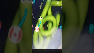 Pembantaian Cacing Worms Zone#best #Wild Spike#Game Cacing#short.