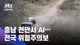 충남 천안서 또 AI 발생…정부, 전국 '위험주의보' 발령 / JTBC 아침\u0026