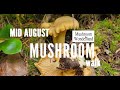 A Mushroom Walk during the Dog Days of Summer in the PNW