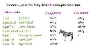 Pádové otázky na výletě v ZOO