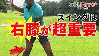 ゴルフで右膝を固定すべき理由とスイングの注意点【ゴルファボ】【大竹エイカ】