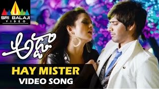Adda Video Songs | Hey Mister Video Song | Sushanth, Shanvi | Sri Balaji Video